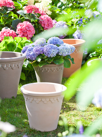 Plastic Flower Pot Mold-3.jpg